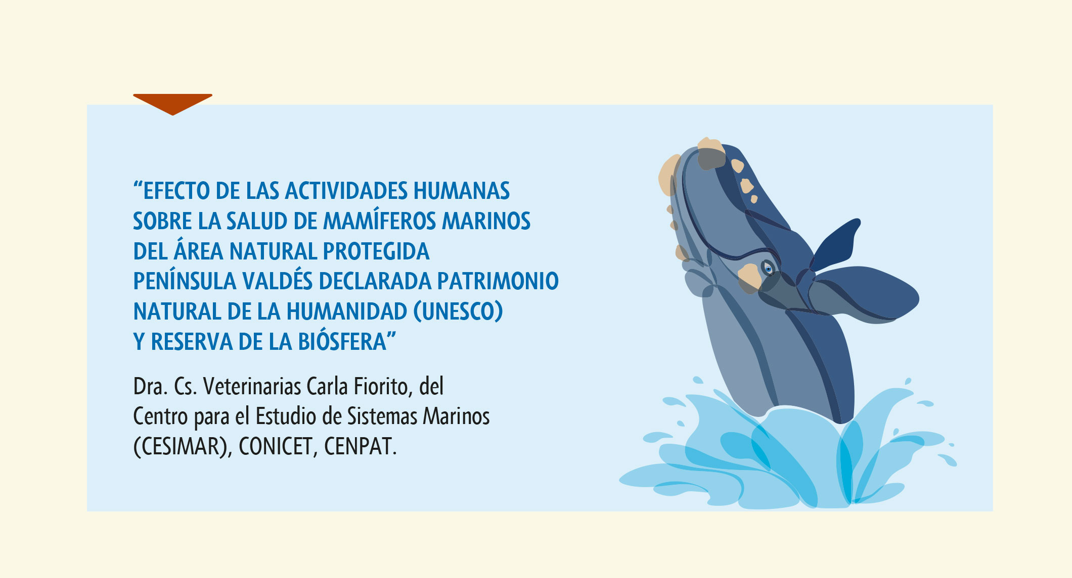 Slide 03