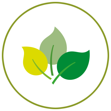 Riesgo ambiental y social